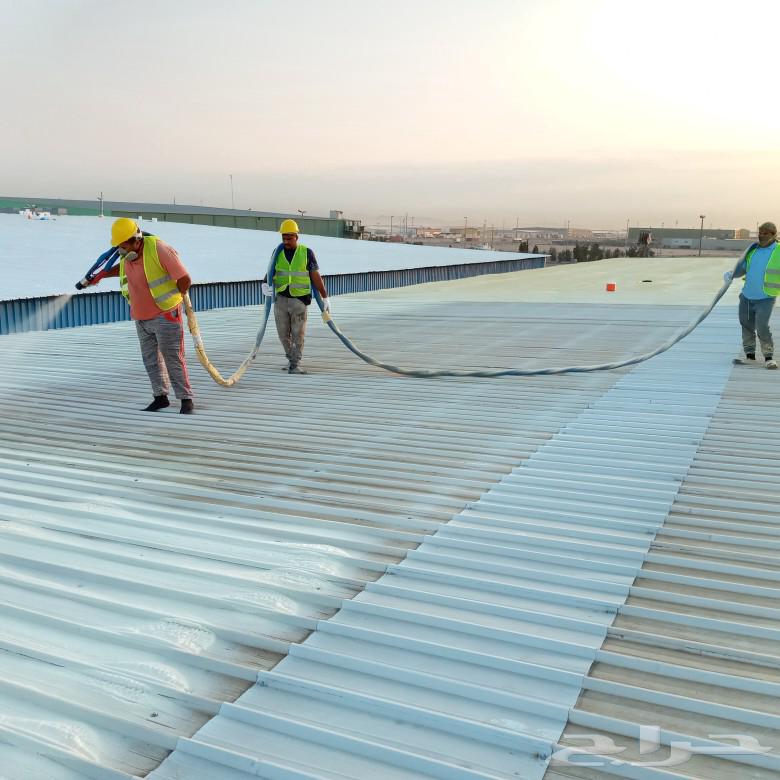 780x780 1 hj00ia07zvz5my